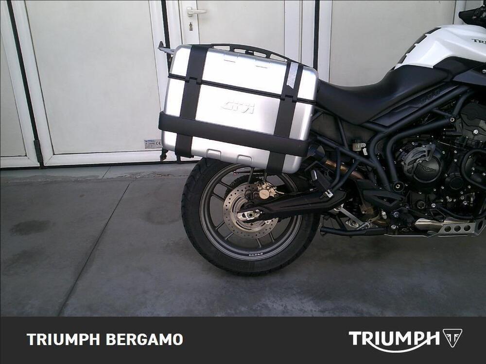 Triumph Tiger 800 ABS (2010 - 14) (6)