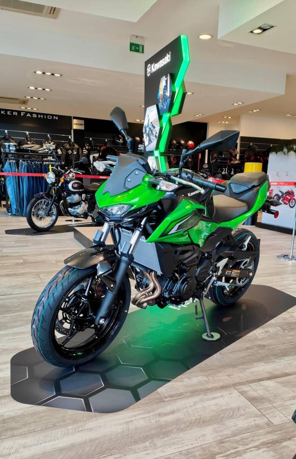 Kawasaki Z 500 (2024 - 26)