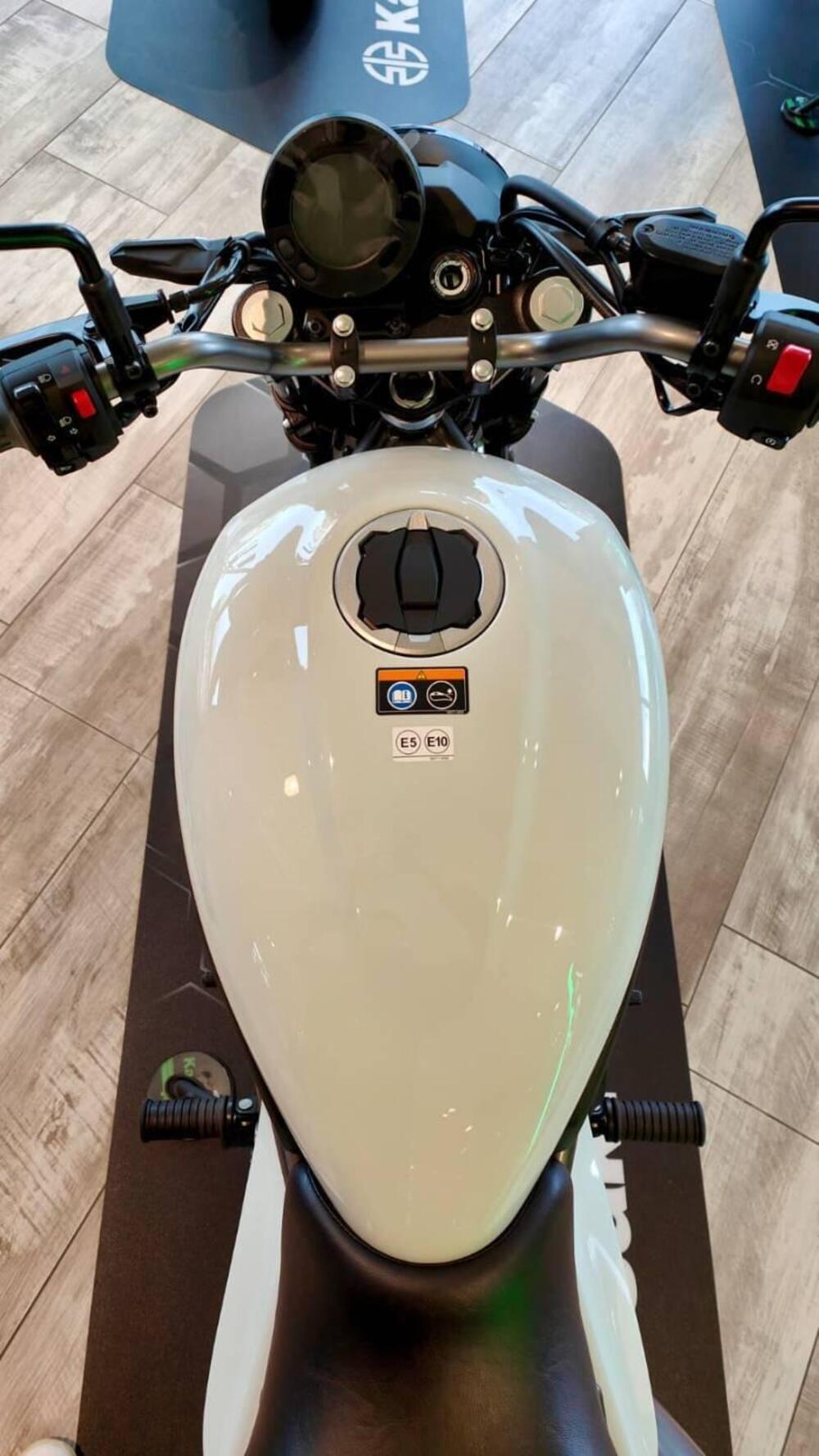 Kawasaki Eliminator 500 (2024 - 26) (16)