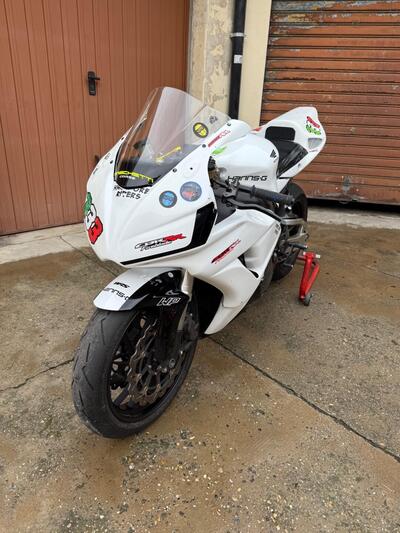 Honda CBR 1000 RR Fireblade (2006 - 07) usata