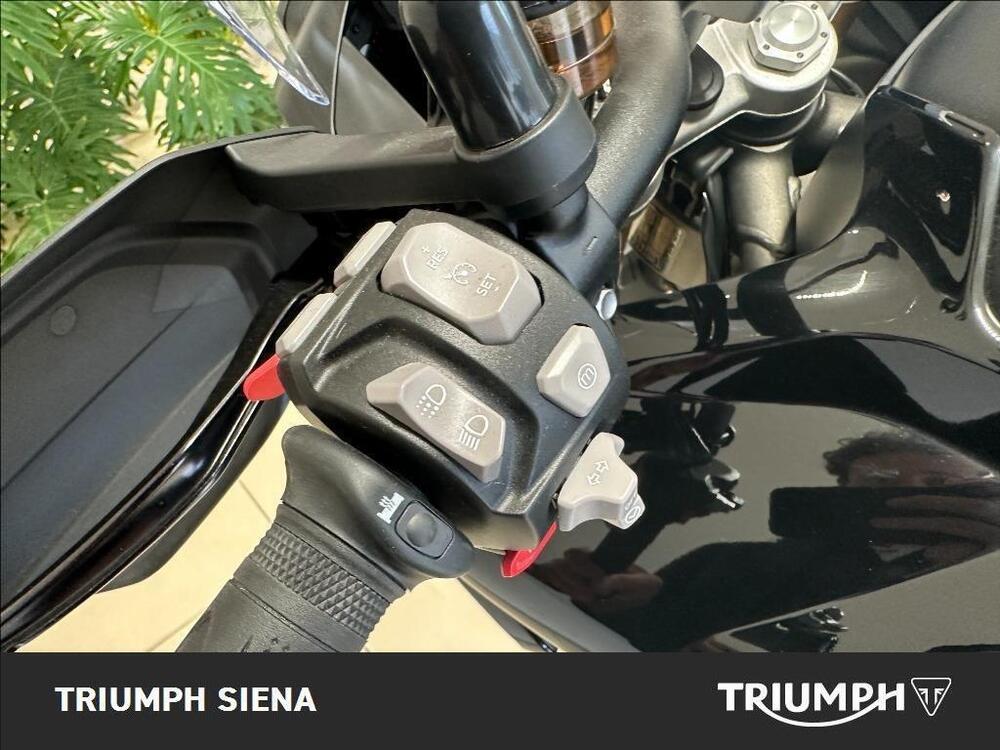 Triumph Tiger 1200 Rally Pro (2024 - 26) (14)