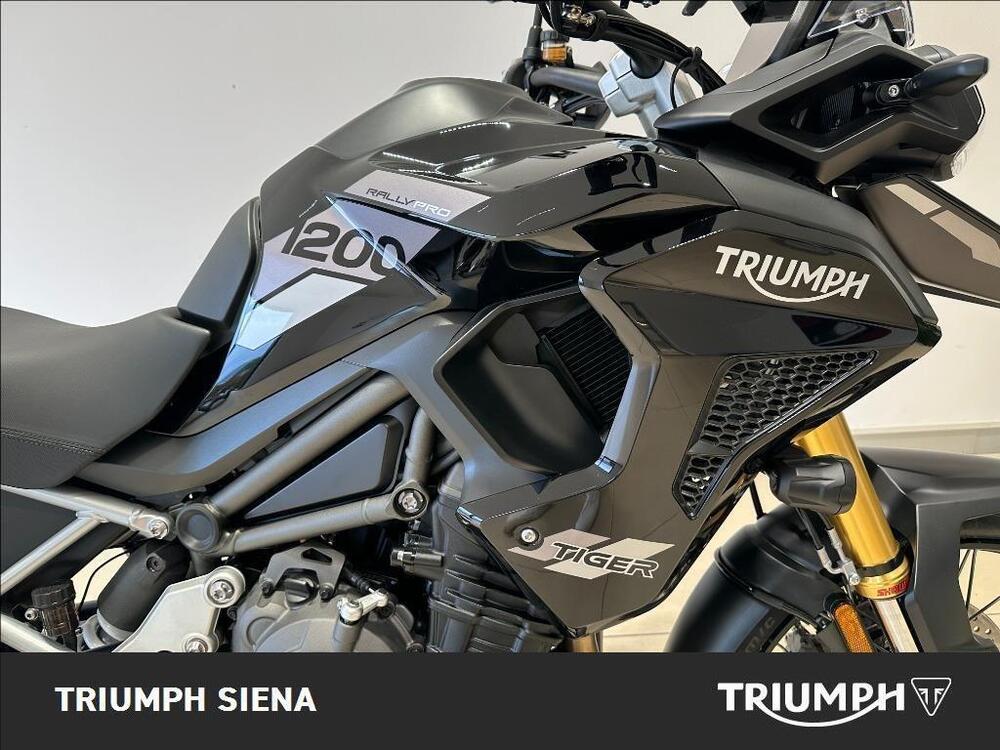 Triumph Tiger 1200 Rally Pro (2024 - 26) (6)
