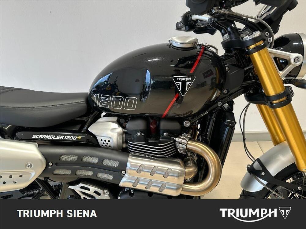 Triumph Scrambler 1200 XE (2024 - 25) (6)