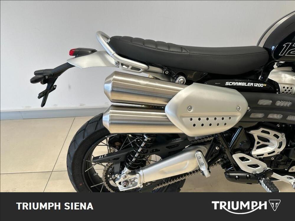 Triumph Scrambler 1200 XE (2024 - 25) (8)