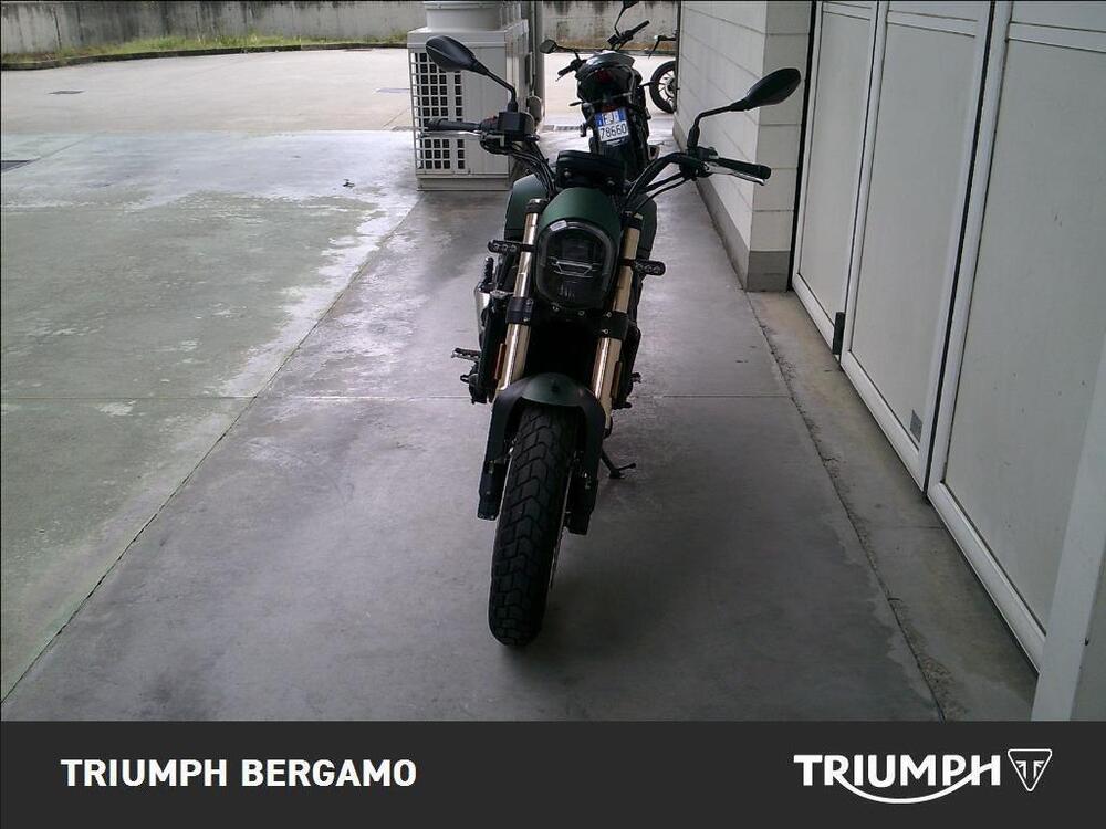 Benelli Leoncino 800 (2022 - 25) (5)