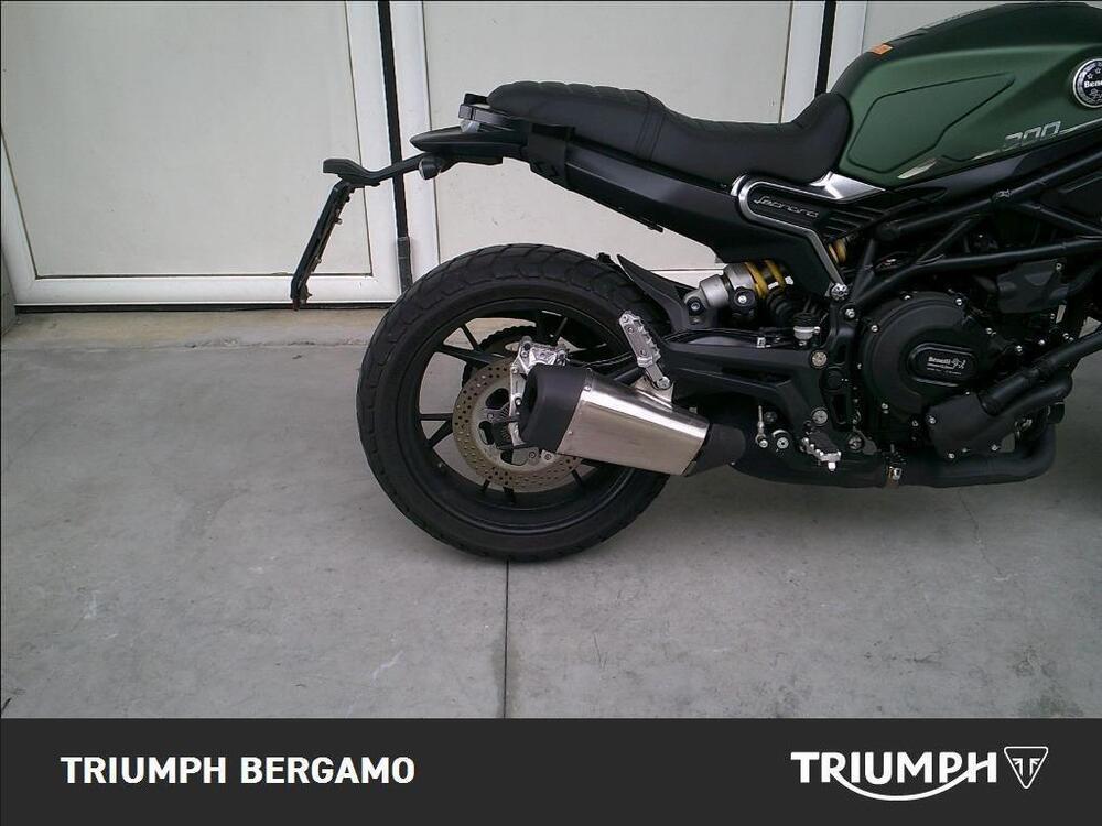 Benelli Leoncino 800 (2022 - 25) (6)