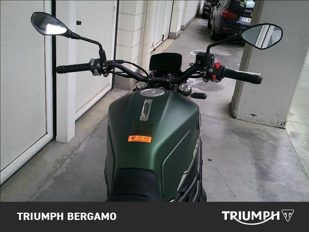 Benelli Leoncino 800 (2022 - 25) (7)