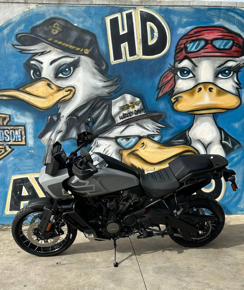 Harley-Davidson Pan America 1250 Special (2020 - 25)