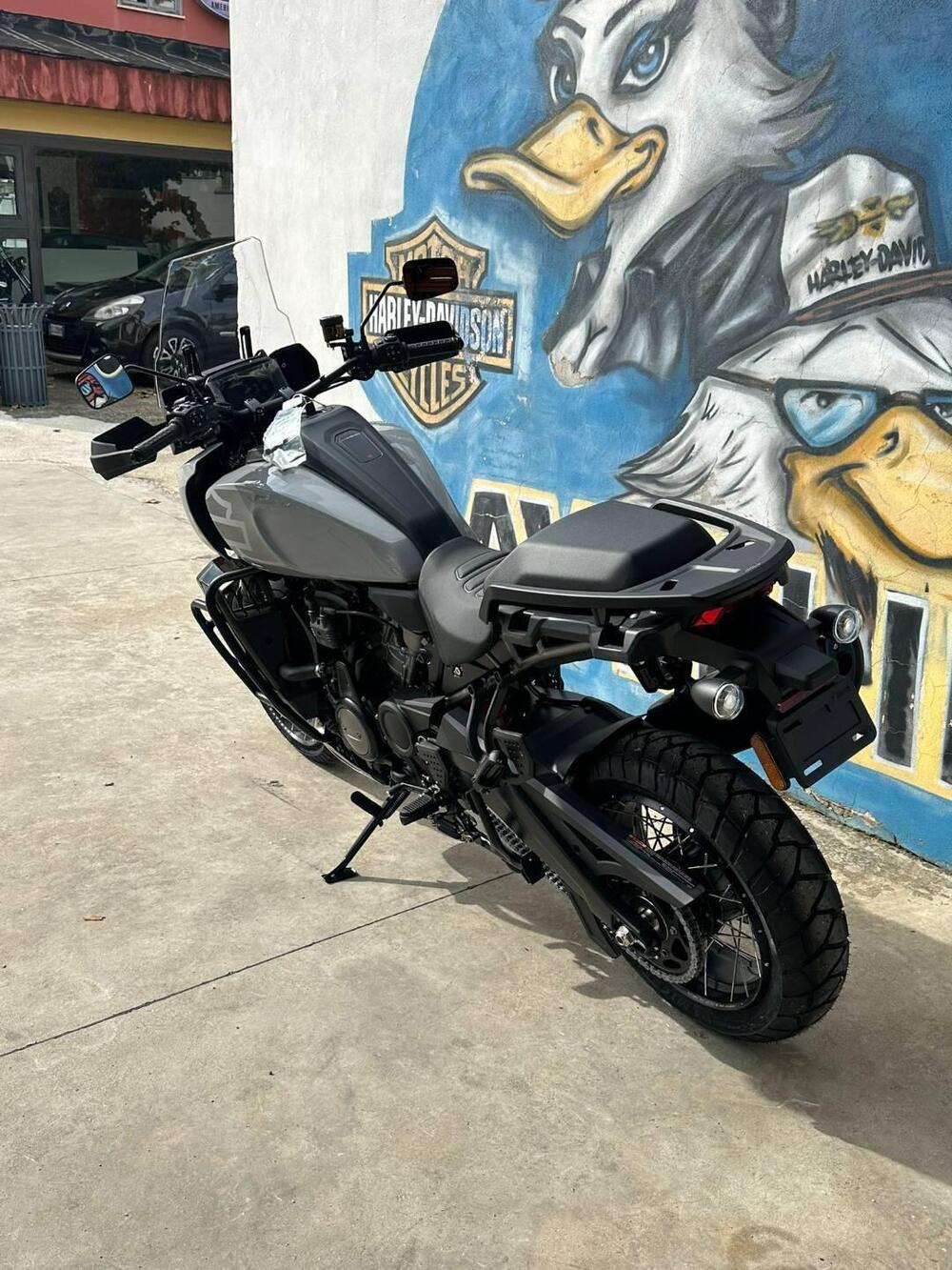 Harley-Davidson Pan America 1250 Special (2020 - 25) (3)