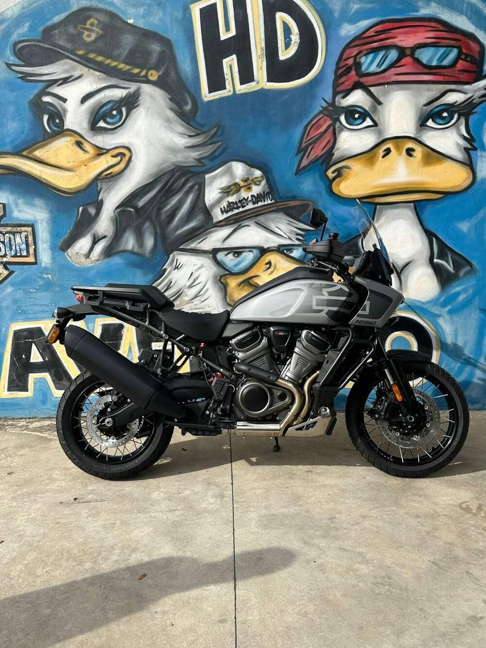 Harley-Davidson Pan America 1250 Special (2020 - 25) (8)