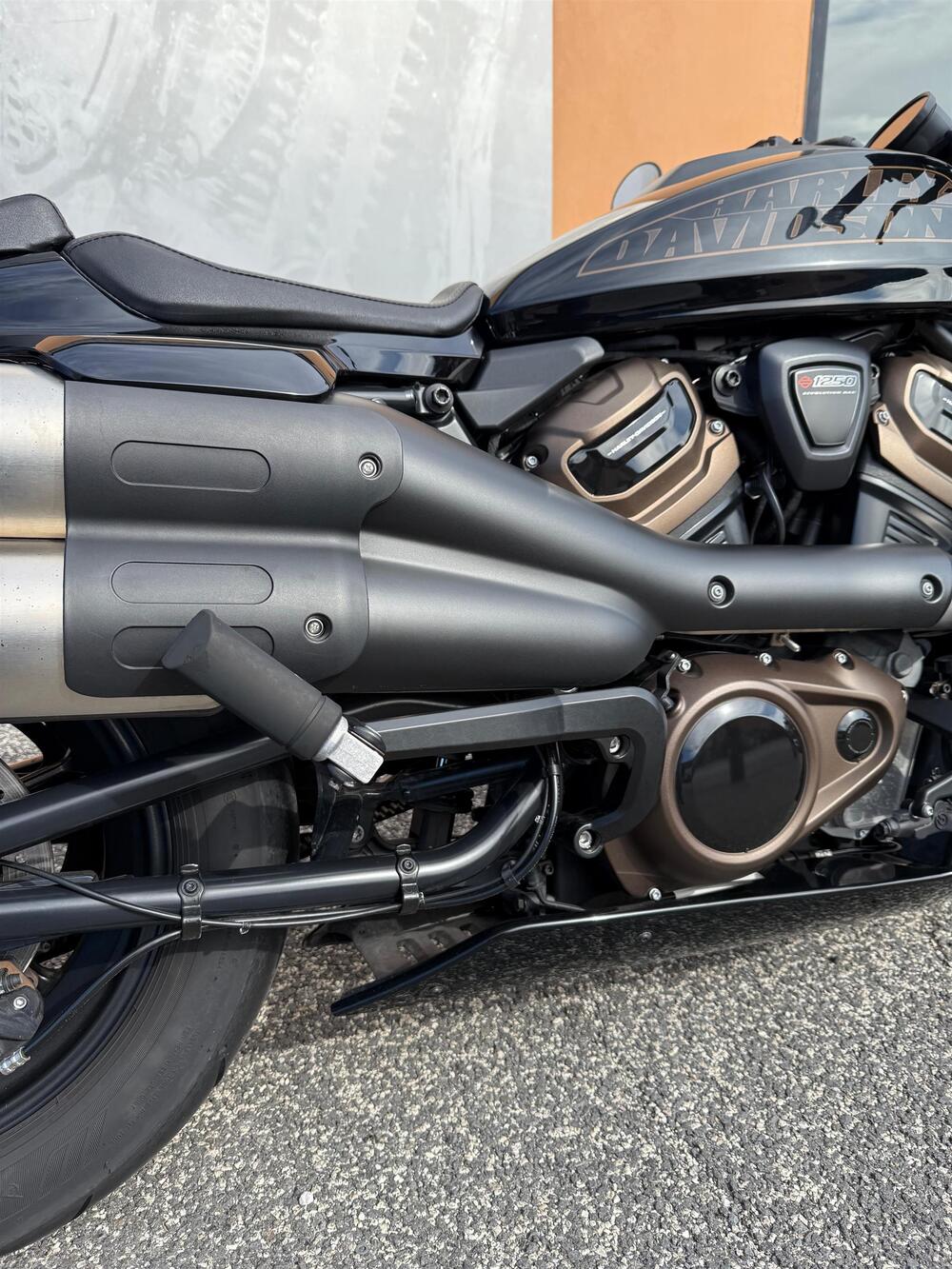 Harley-Davidson Sportster S (2022 - 24) (4)