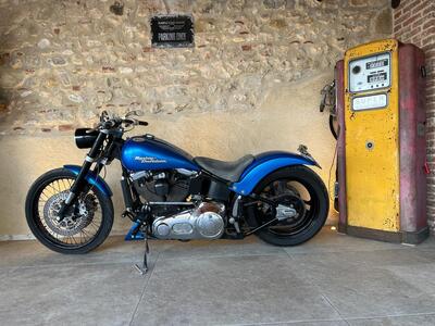 Harley-Davidson 1340 Custom (1989 - 98) usata