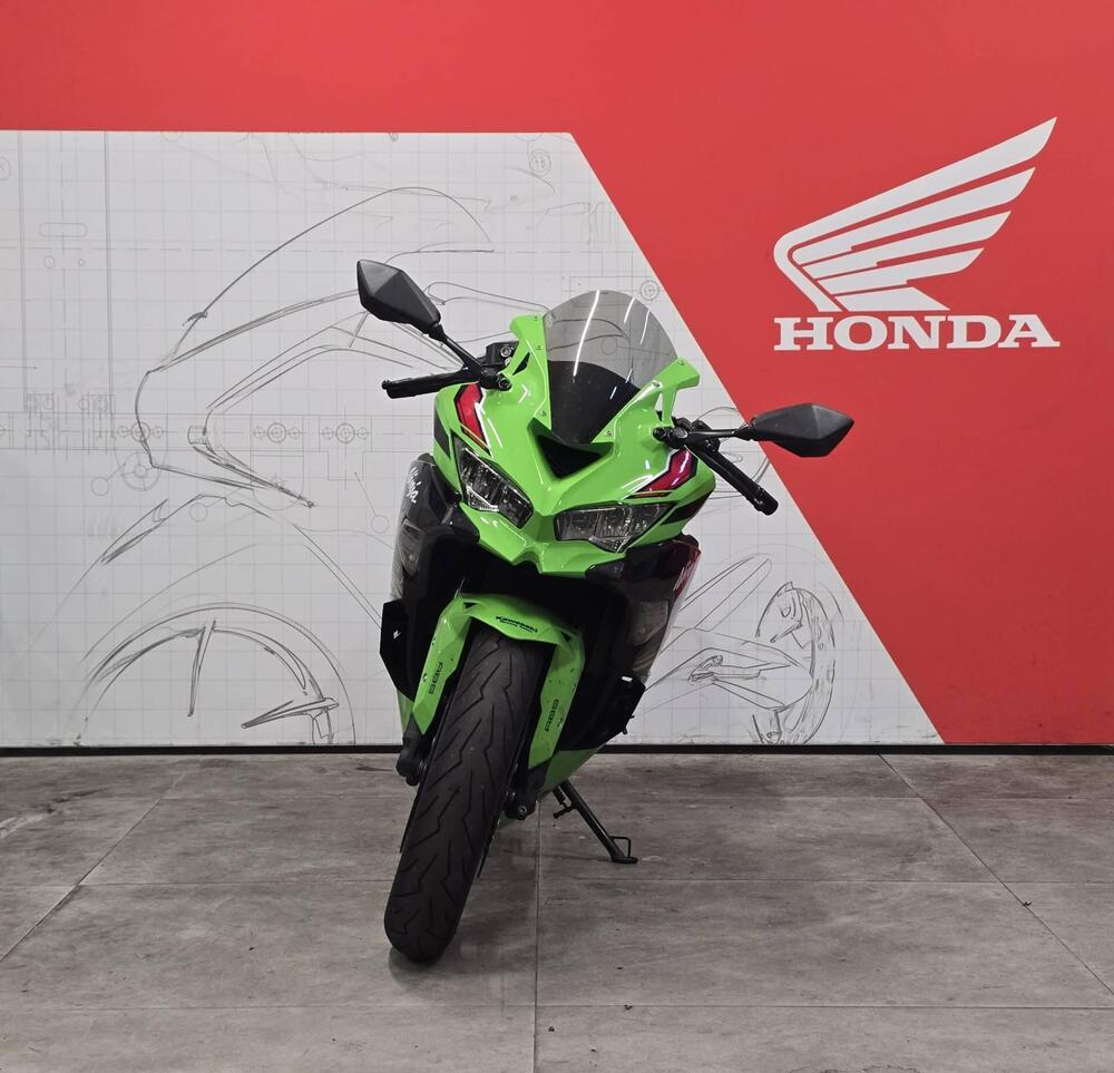 Kawasaki Ninja ZX-4RR (2024 - 26) (2)