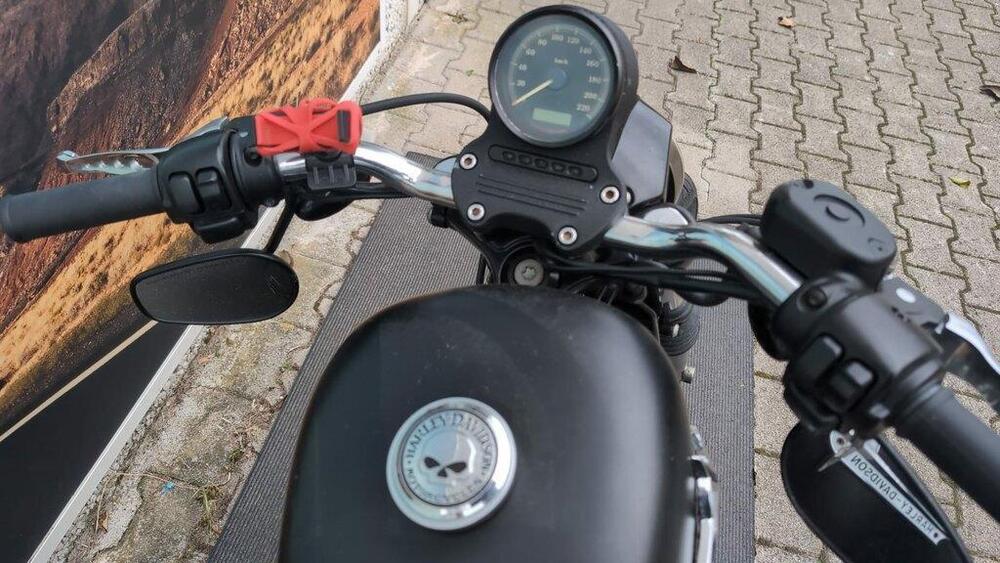 Harley-Davidson 883 Iron (2012 - 14) - XL 883N (3)