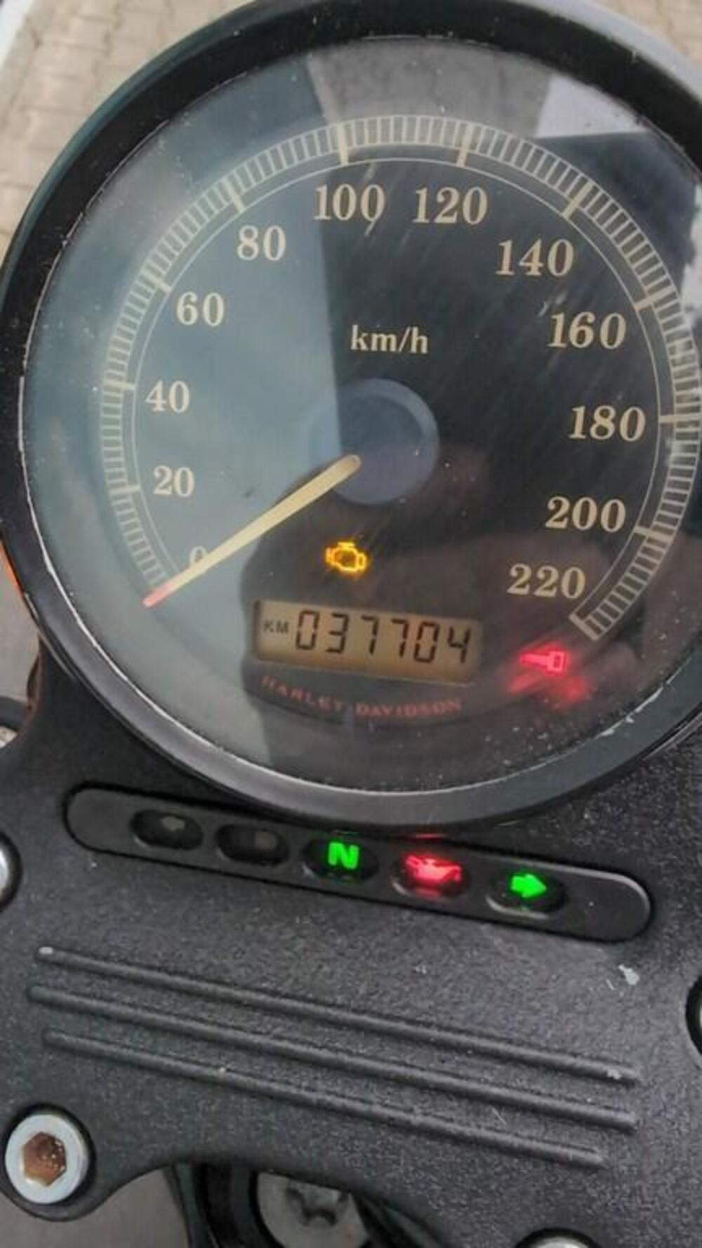 Harley-Davidson 883 Iron (2012 - 14) - XL 883N (2)