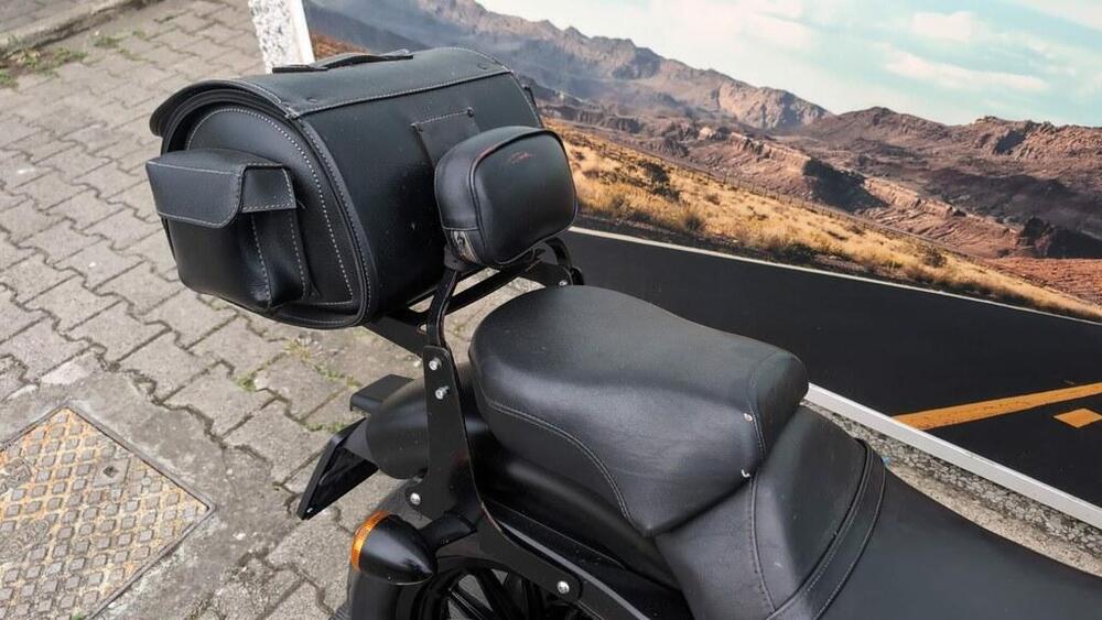 Harley-Davidson 883 Iron (2012 - 14) - XL 883N (6)