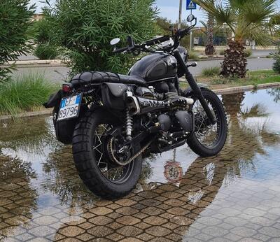 Triumph Scrambler (2006 - 17) usata