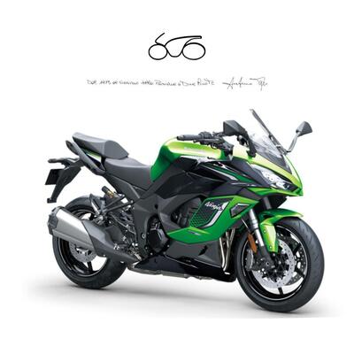 Kawasaki Ninja 1100 SX SE (2025 - 26) nuova
