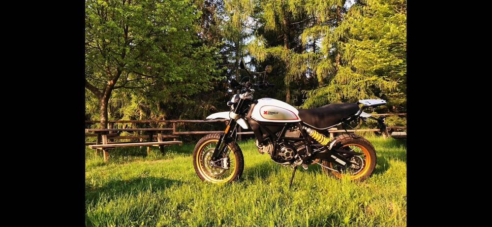 Ducati Scrambler 800 Desert Sled (2017 - 20) (11)