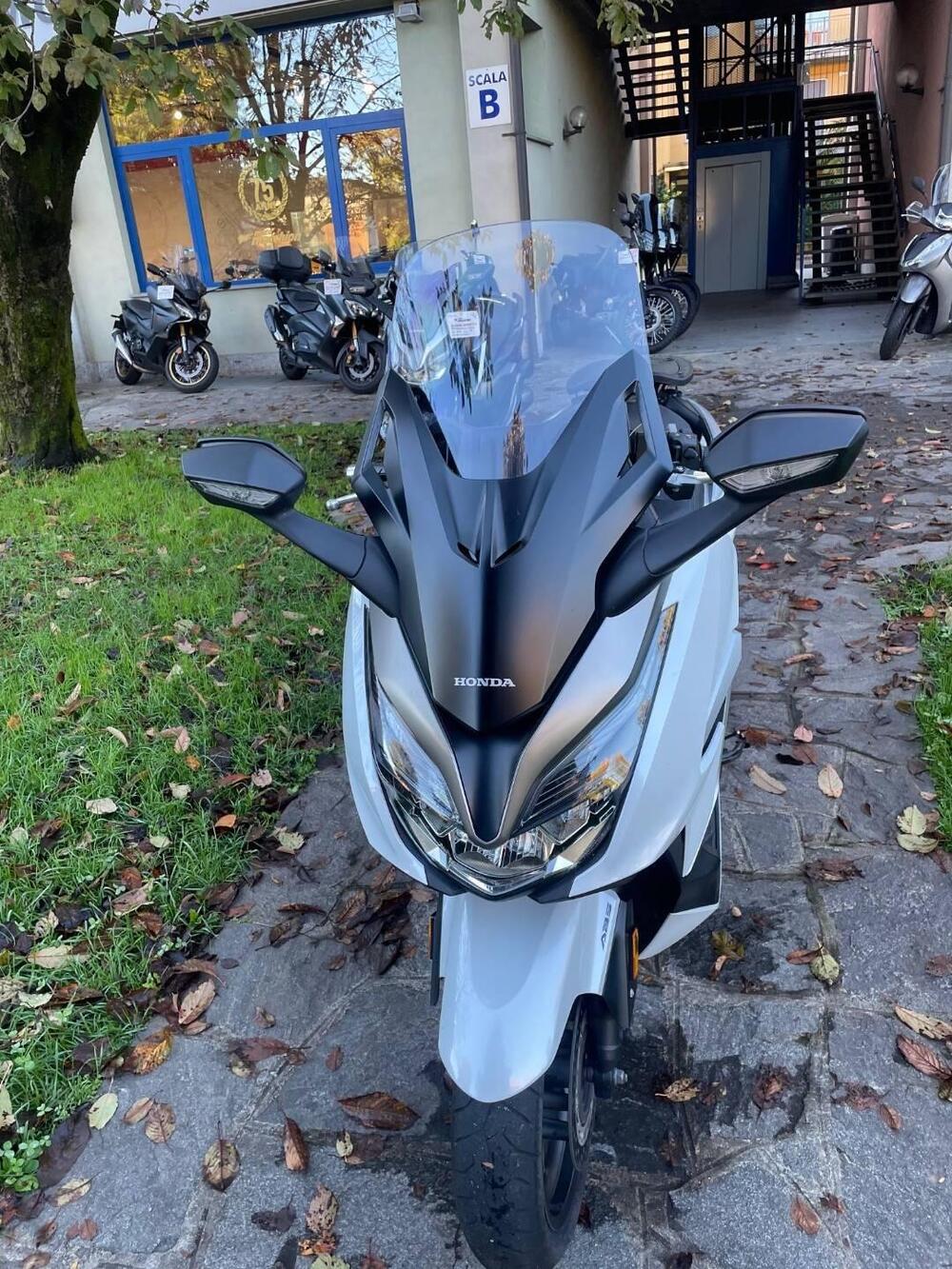 Honda Forza 350 (2022 - 24) (3)