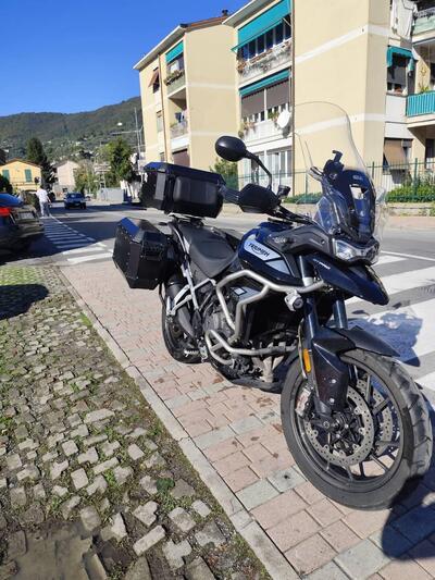 Triumph Tiger 900 GT Pro (2020 - 23) usata