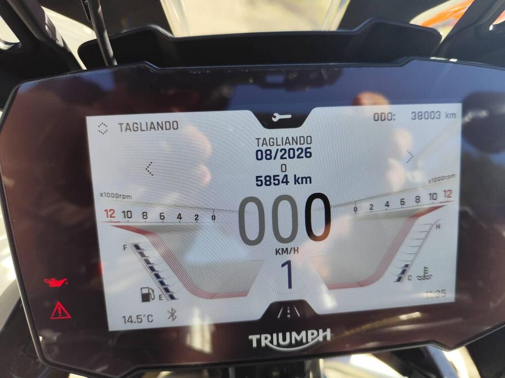 Triumph Tiger 900 GT Pro (2020 - 23) (5)