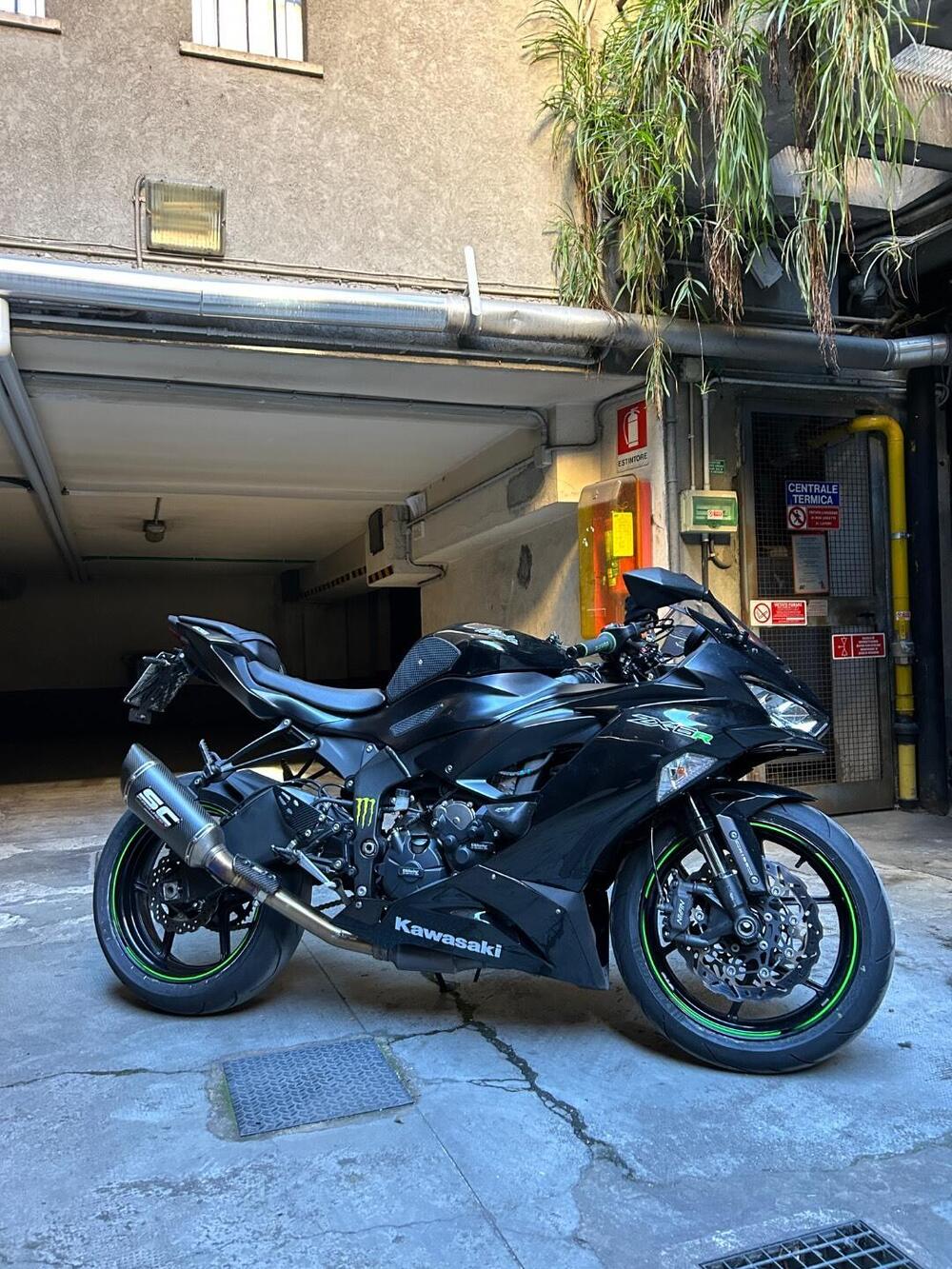 Kawasaki Ninja 636 ZX-6R (2019 - 20)