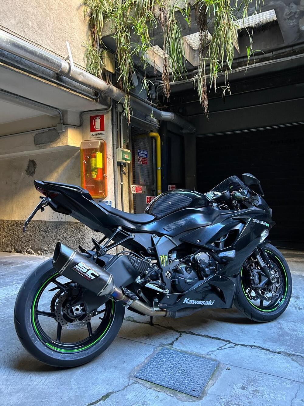 Kawasaki Ninja 636 ZX-6R (2019 - 20) (4)
