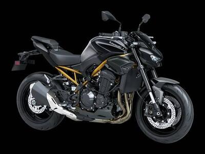 Kawasaki Z 900 (2025 - 26) nuova