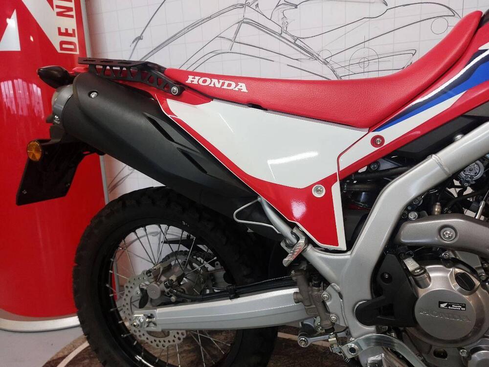 Honda CRF 300 L (2021 - 24) (6)