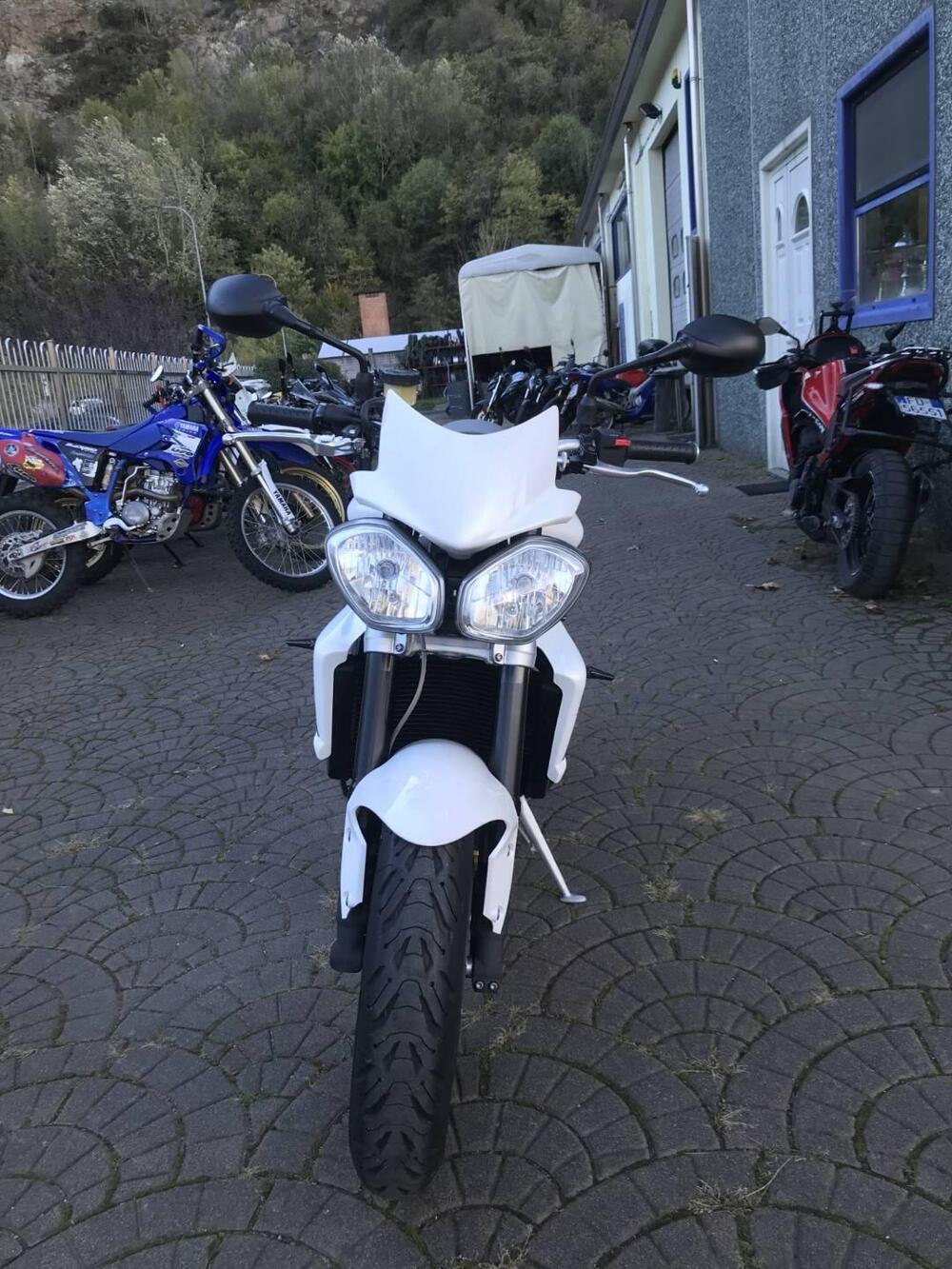 Triumph Street Triple R (2009 - 12) (4)