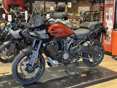 Harley-Davidson Pan America 1250 Special (2020 - 25) usata