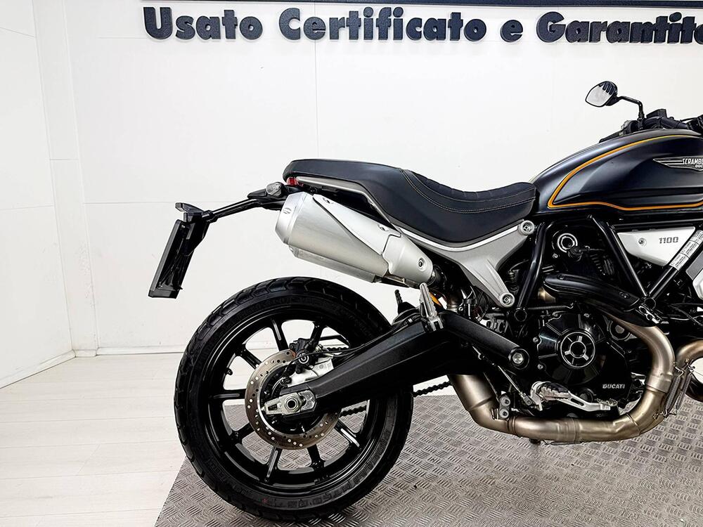 Ducati Scrambler 1100 Sport (2018 - 20) (7)