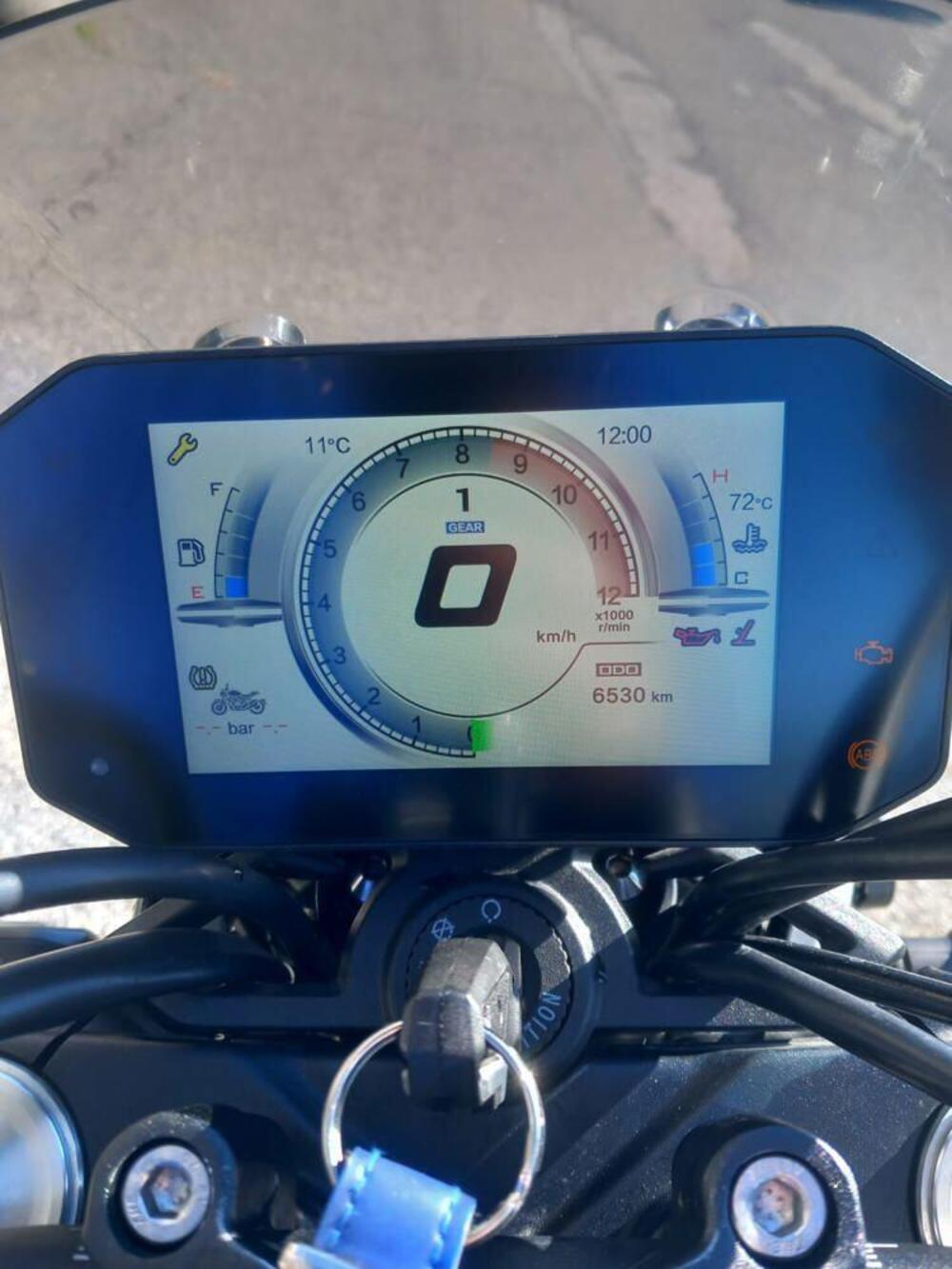 Voge Trofeo 525ACX Scrambler (2023 - 26) (6)