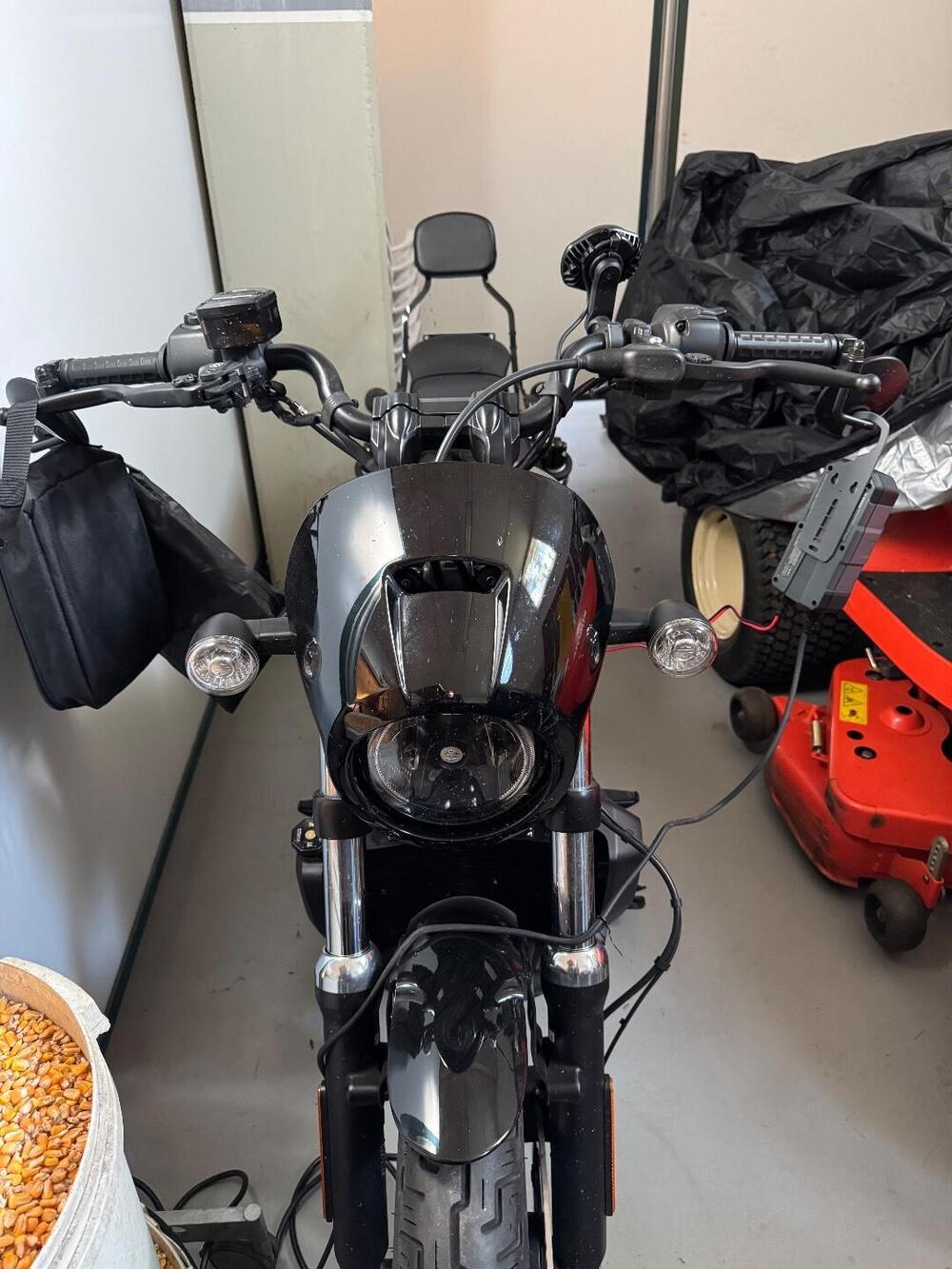 Harley-Davidson Nightster (2023 - 26) (4)