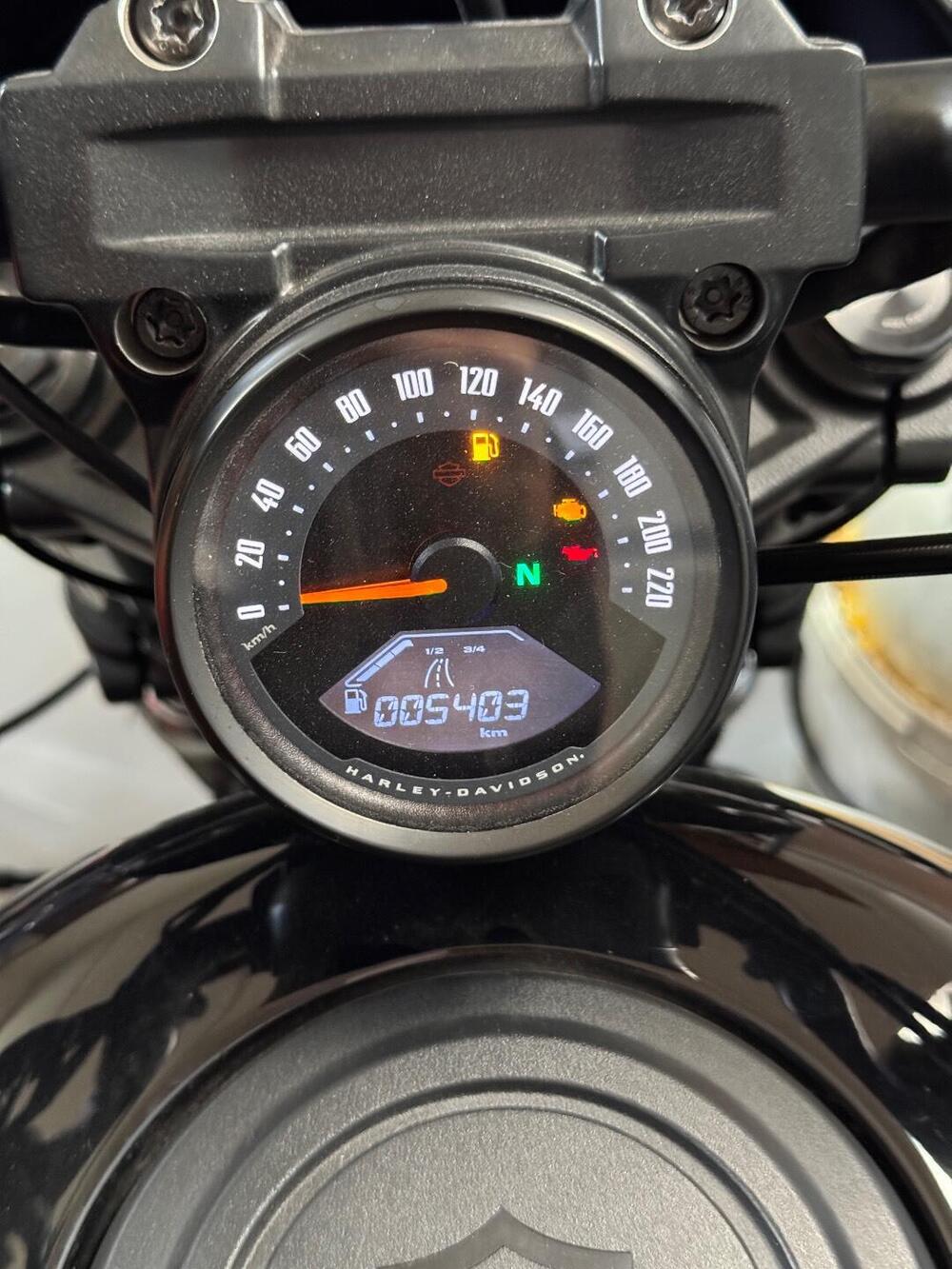 Harley-Davidson Nightster (2023 - 26) (7)