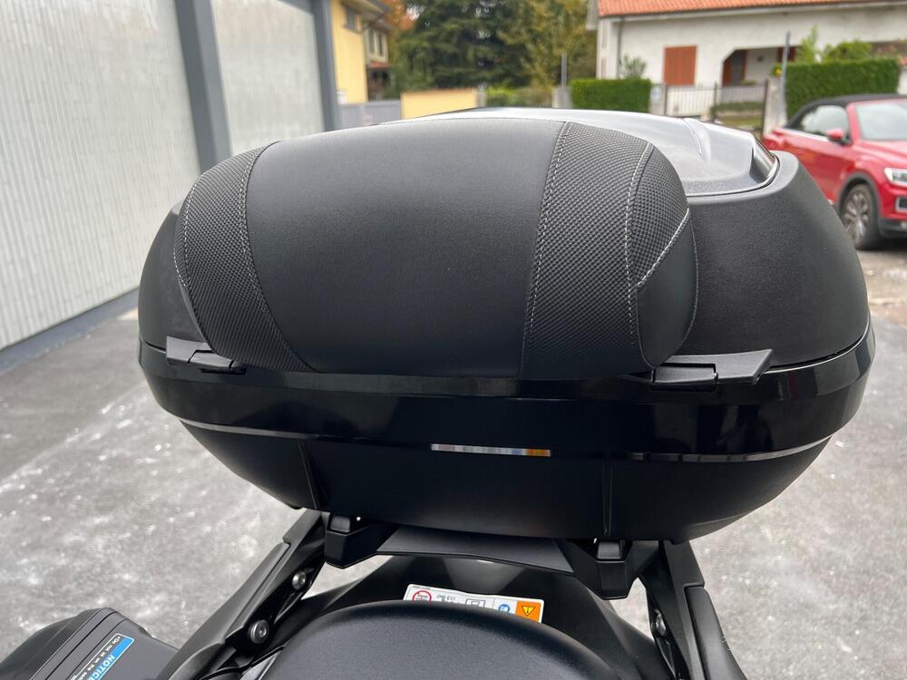 Kawasaki Versys 1000 Grand Tourer SE (2019 - 20) (10)