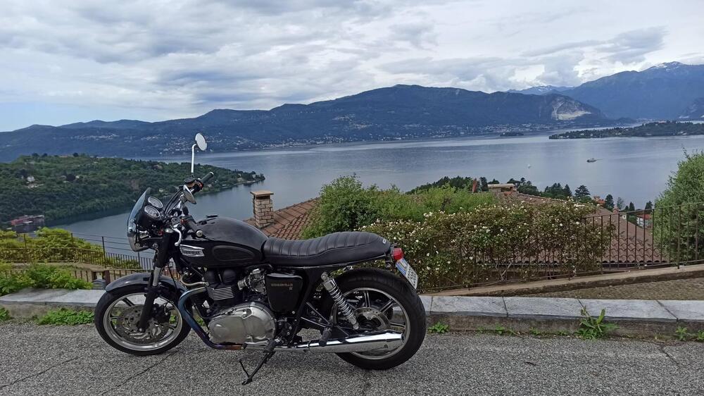 Triumph Bonneville SE (2009 - 13) (2)