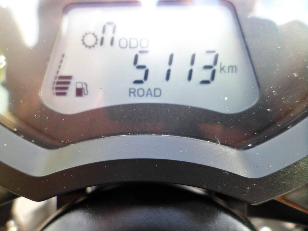 Triumph Scrambler 900 (2023 - 25) (8)