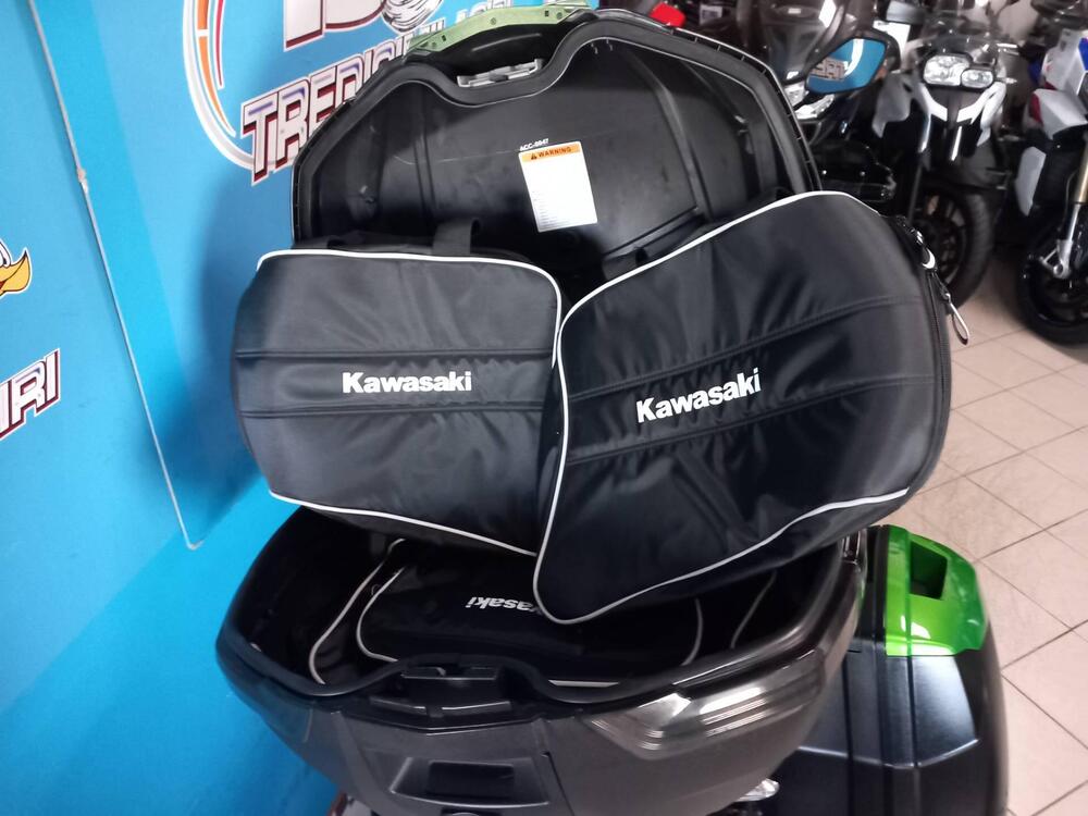 Kawasaki Versys 650 Grand Tourer (2017 - 20) (12)