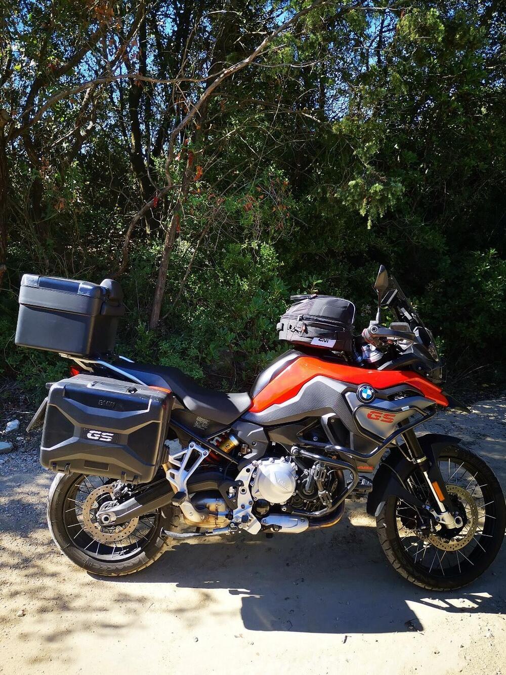 Bmw F 850 GS (2018 - 20) (7)