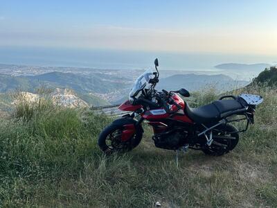 Triumph Tiger 900 GT Pro (2020 - 23) usata