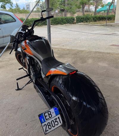 Harley-Davidson 1250 V-Rod Muscle (2009 - 17) - VRSCF usata