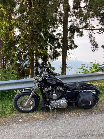 Harley-Davidson 1200 Custom (2007 - 13) - XL 1200C usata