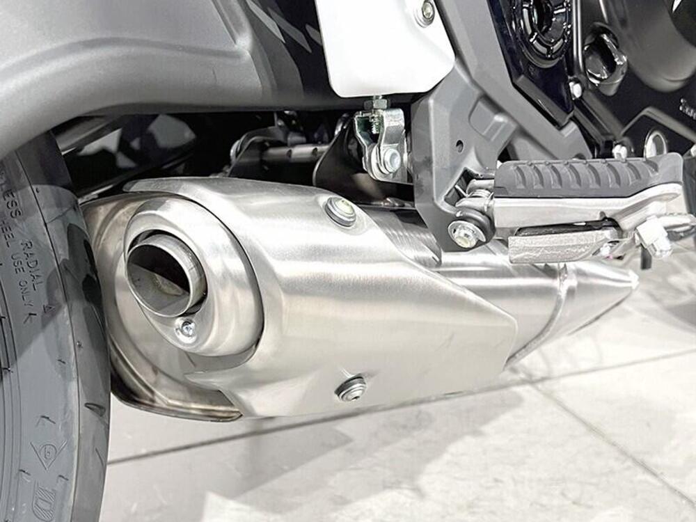 Kawasaki Z 650 (2025 - 26) (5)