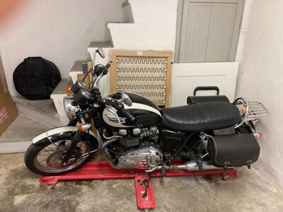 Triumph Bonneville T100 (2008 - 16) usata