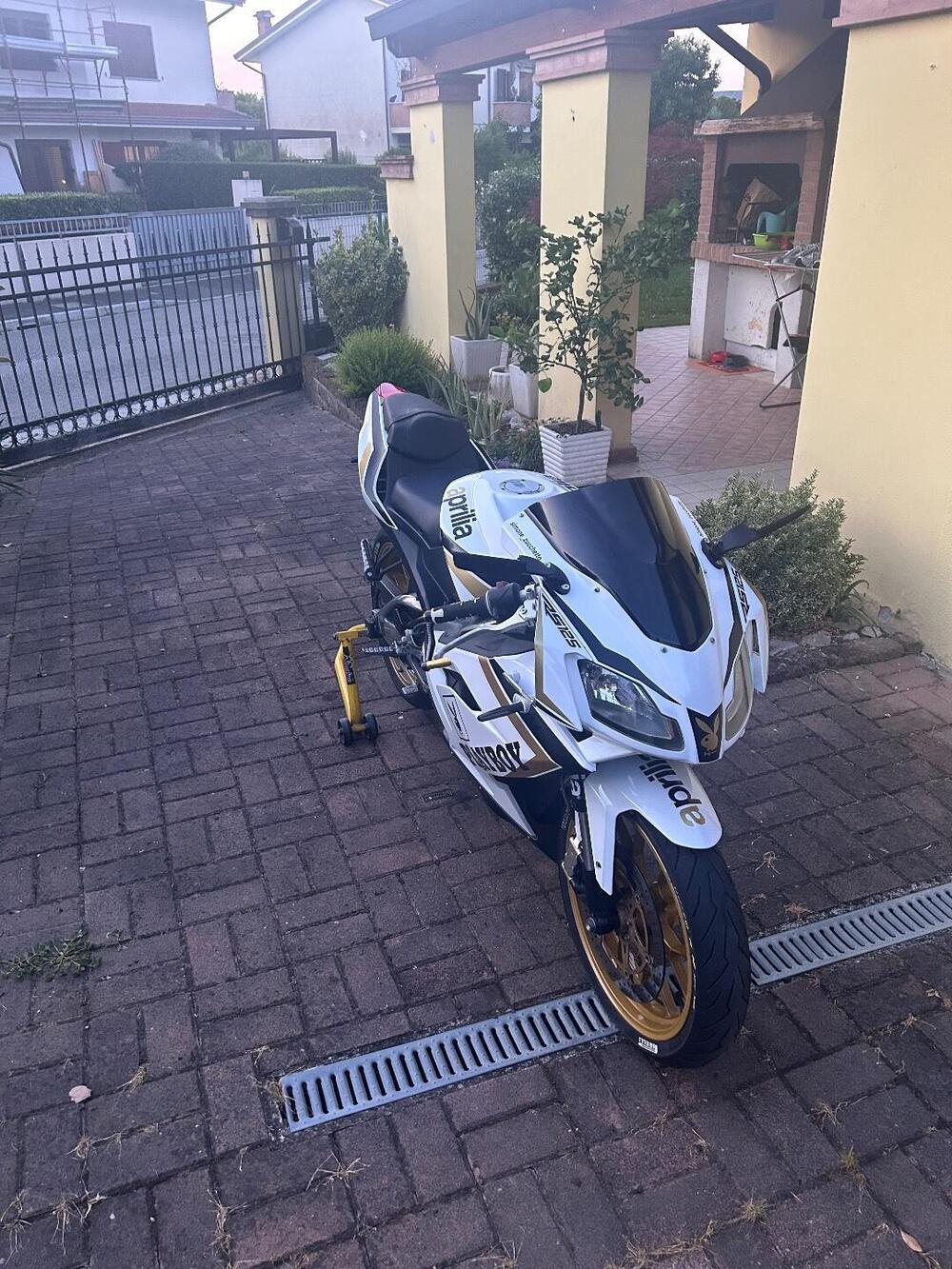 Aprilia RS 125 (2006 - 14) (2)