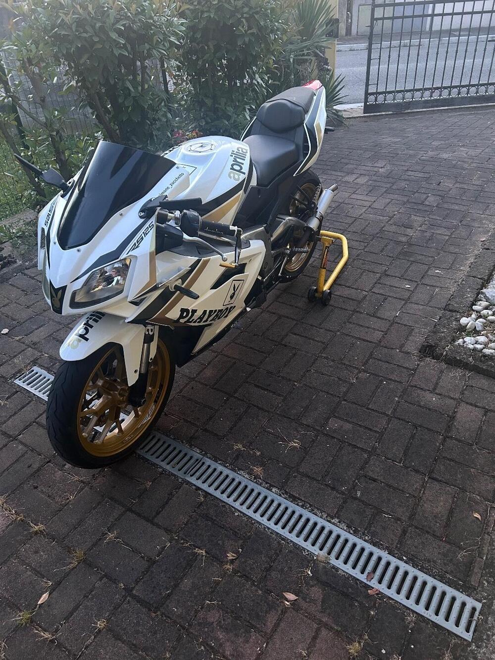 Aprilia RS 125 (2006 - 14) (3)