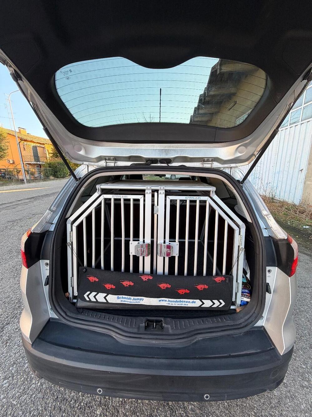 Ford Focus Station Wagon usata a Reggio Emilia (12)