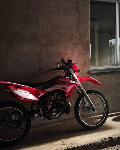 Betamotor RR 50 Enduro Racing (2015 - 18) usata